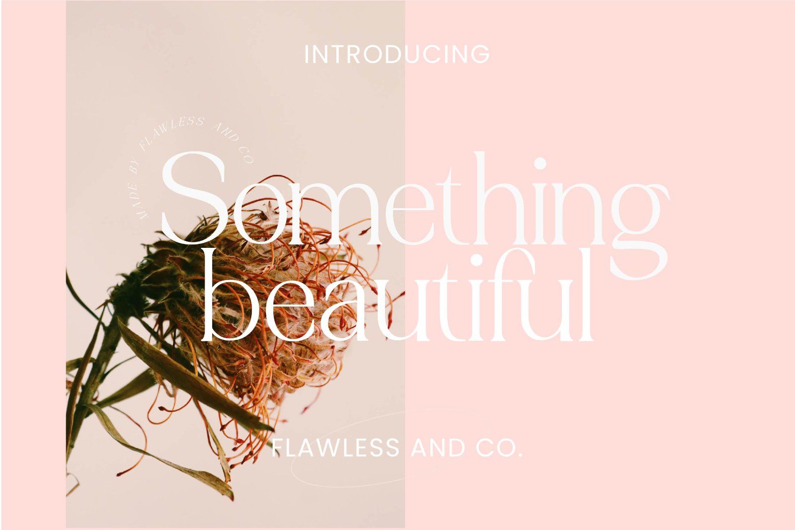 Golden Cosmic - Elegant Serif Font — image 9