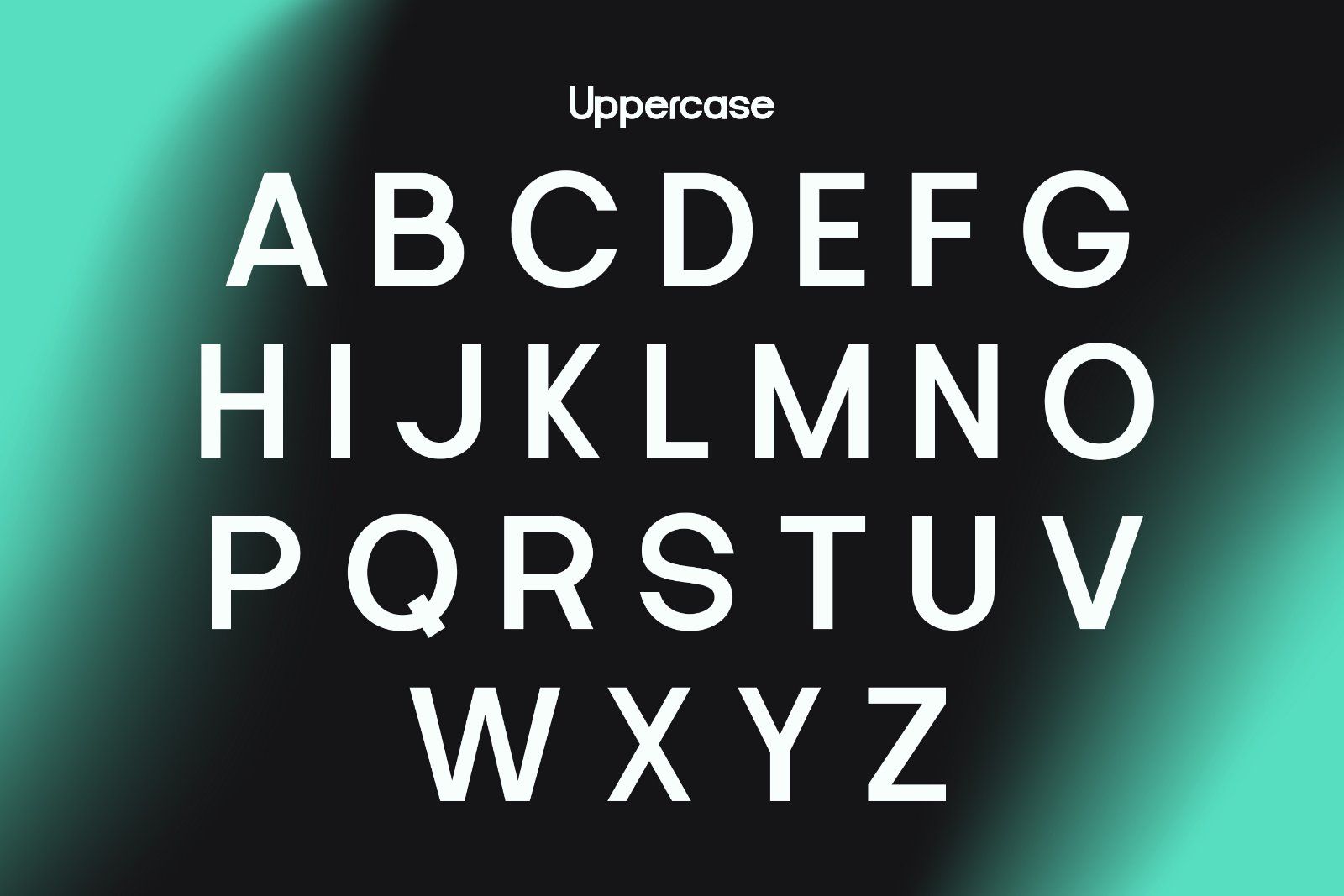 Seiga - Minimalist Sans Font — image 6