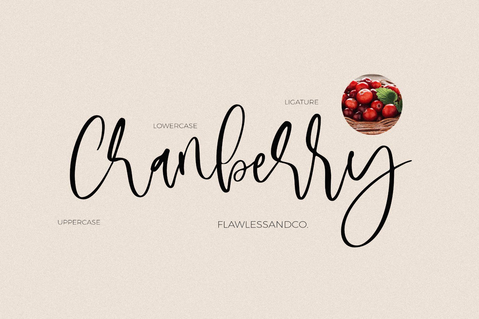 Monday - Modern Handwritten Font — image 5
