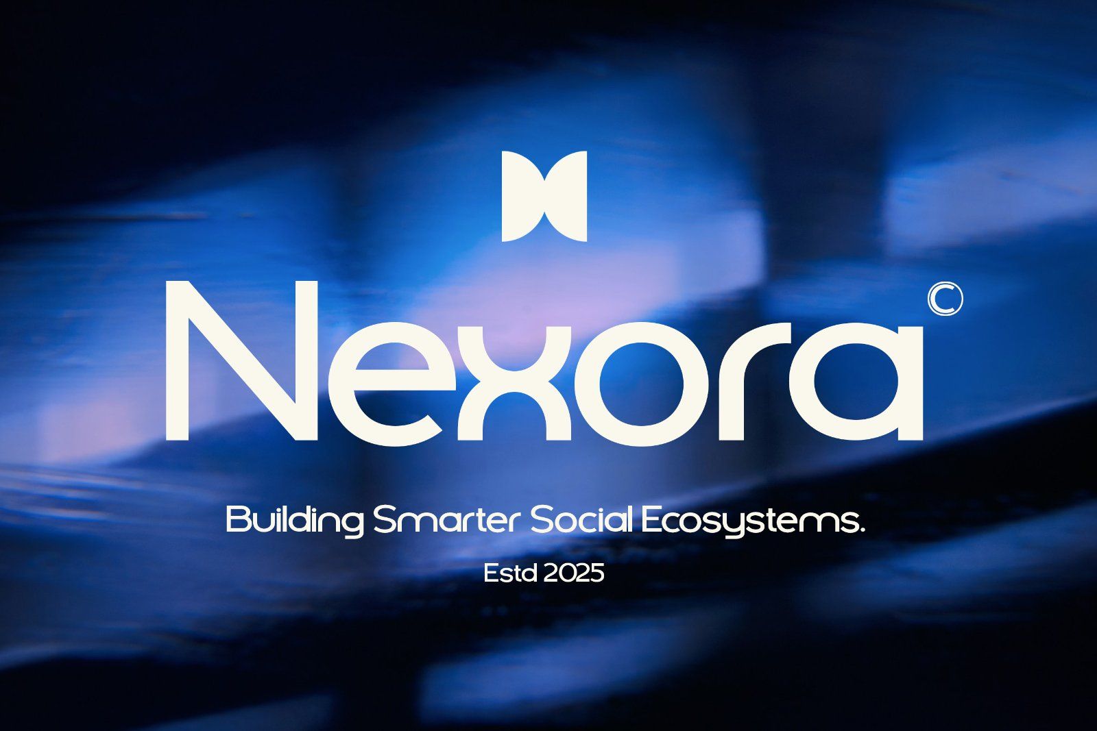 Nexora - Modern Sans Font — image 3