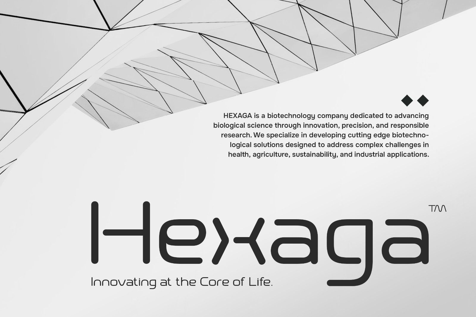 Romusha - Futuristic Display Font — image 3