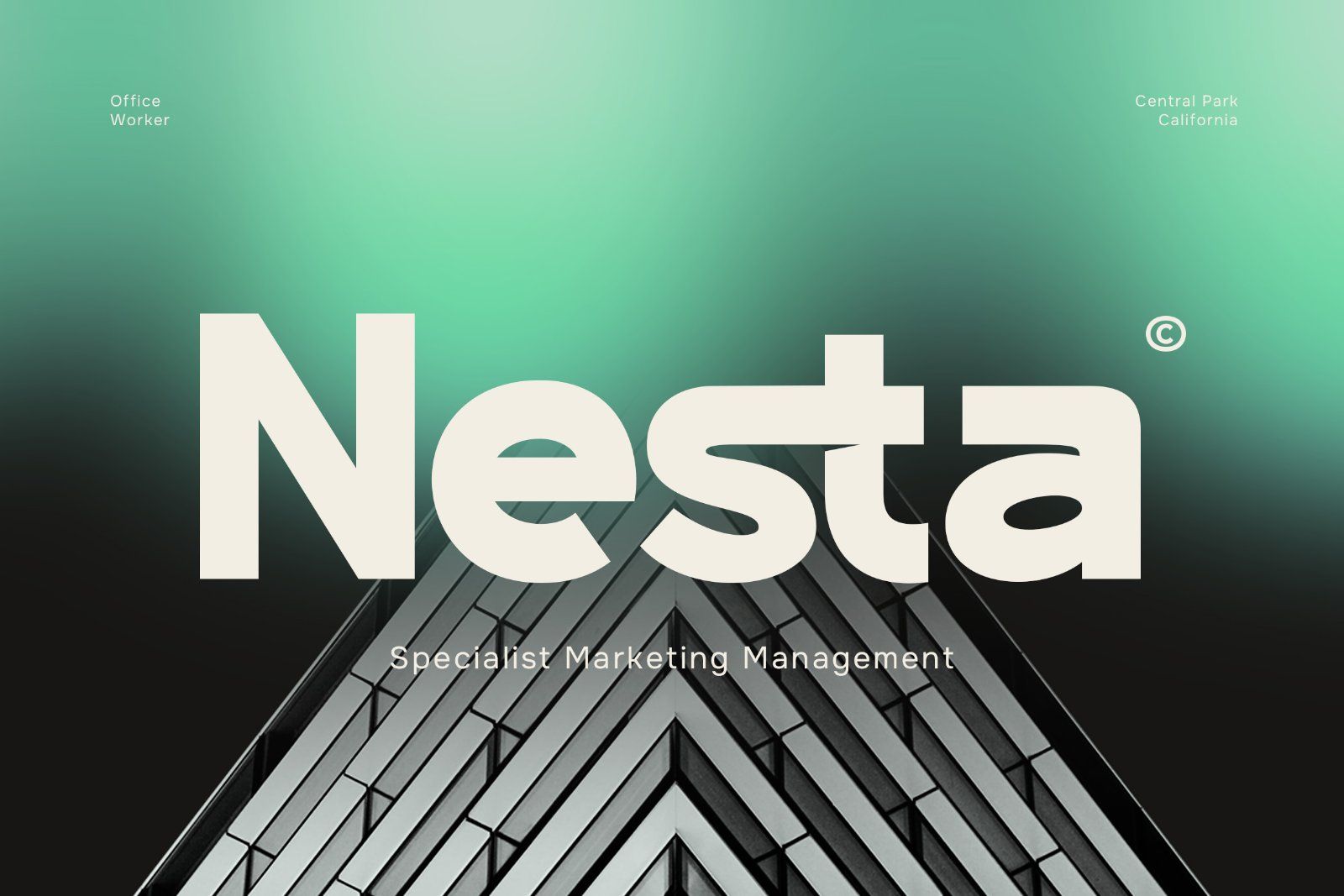 Seyana | Modern Geometric Sans Serif