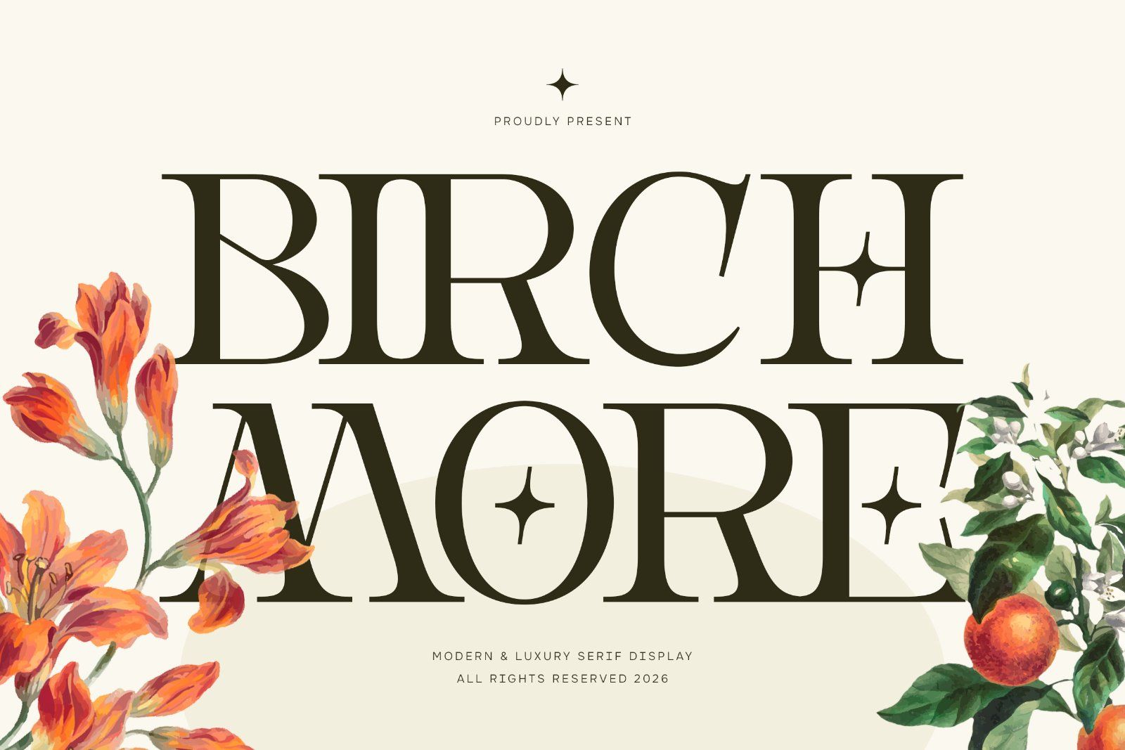 Birchmoren - Modern Serif Font — image 1