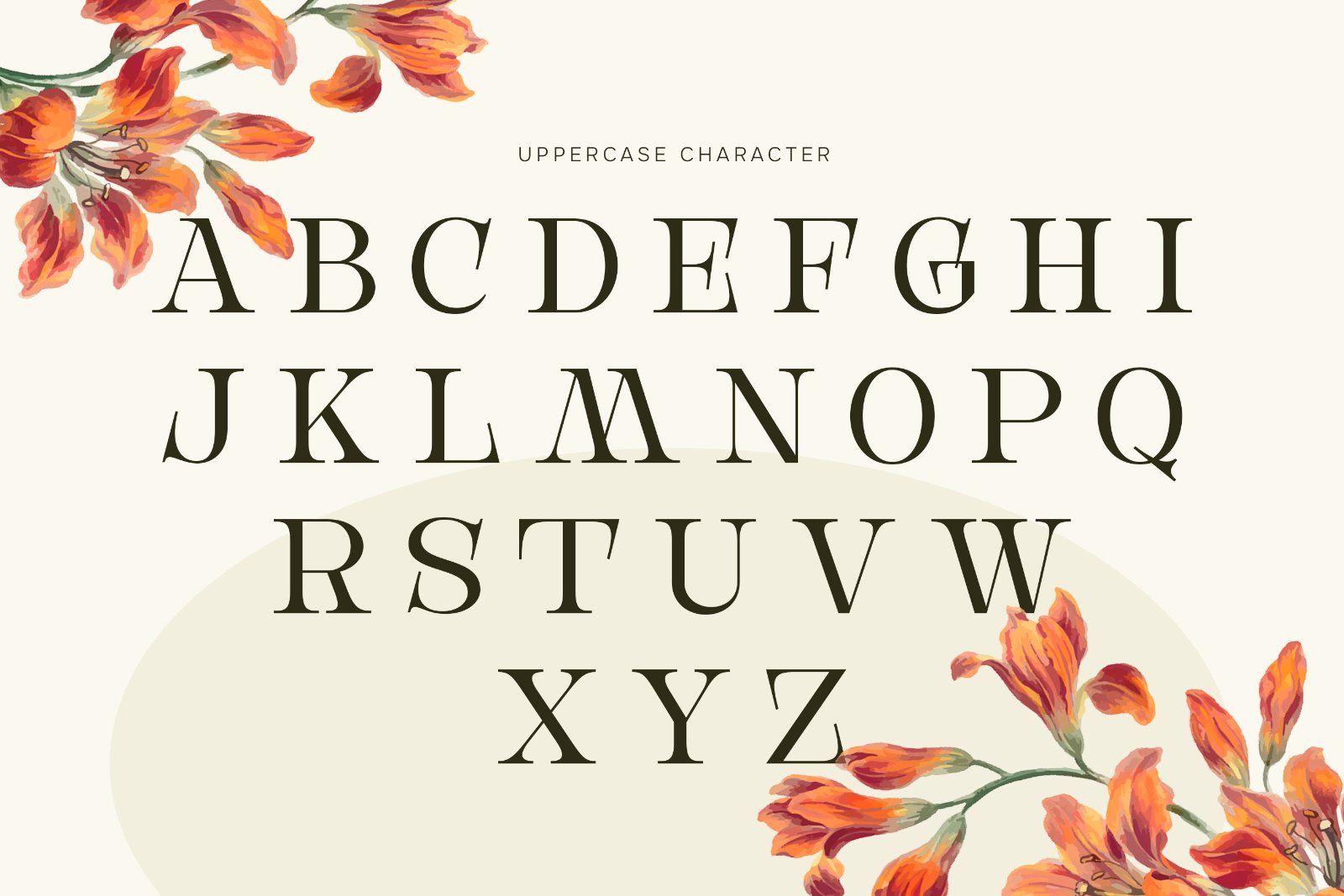 Birchmoren - Modern Serif Font — image 6