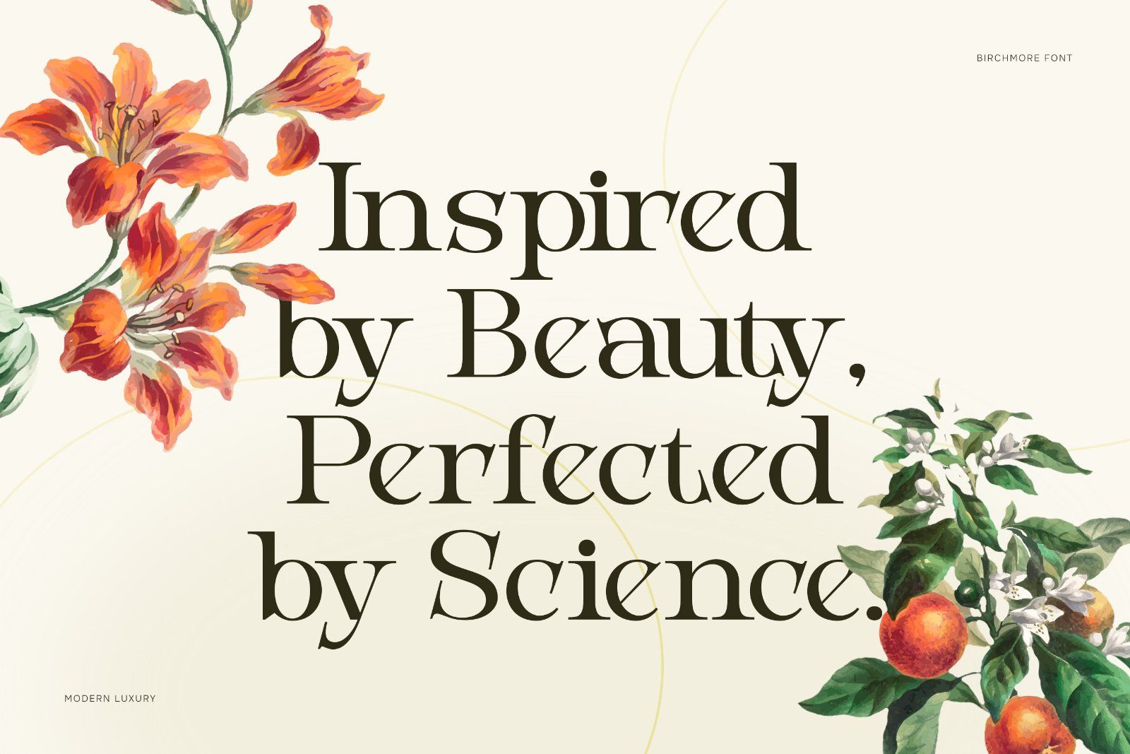 Birchmoren - Modern Serif Font — image 5