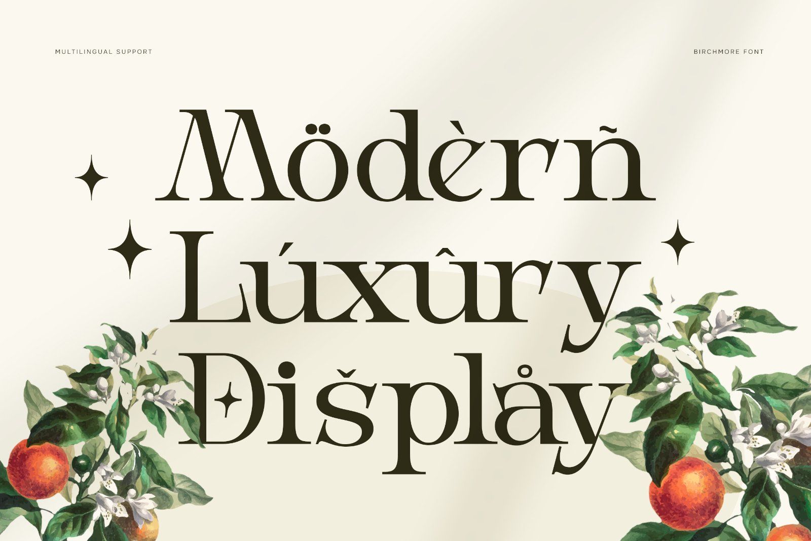 Birchmoren - Modern Serif Font — image 10