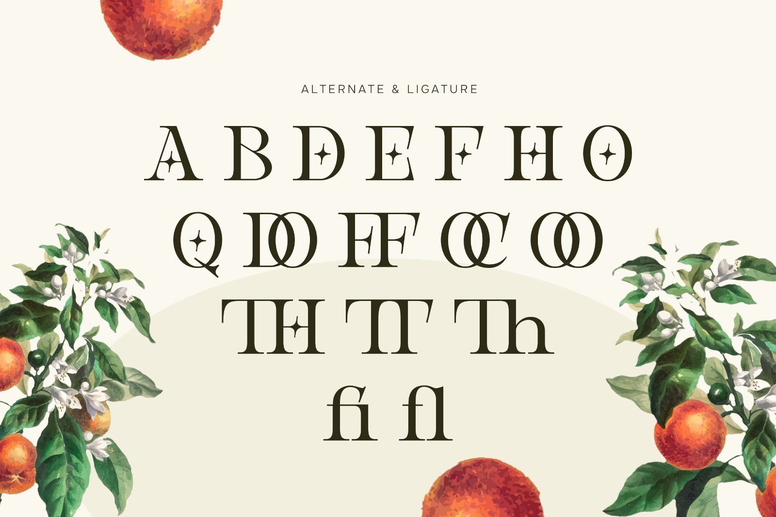 Birchmoren - Modern Serif Font — image 9
