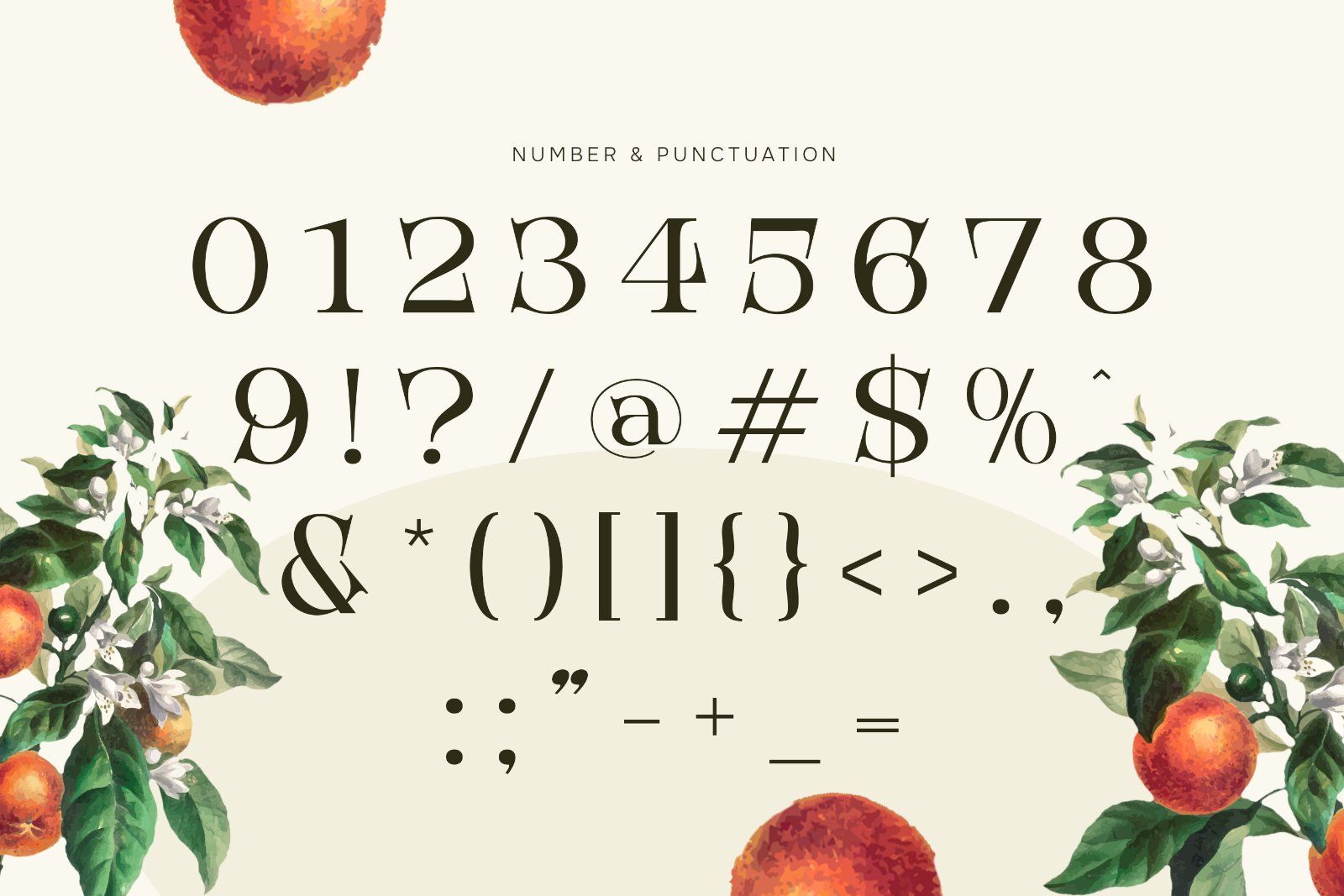 Birchmoren - Modern Serif Font — image 8