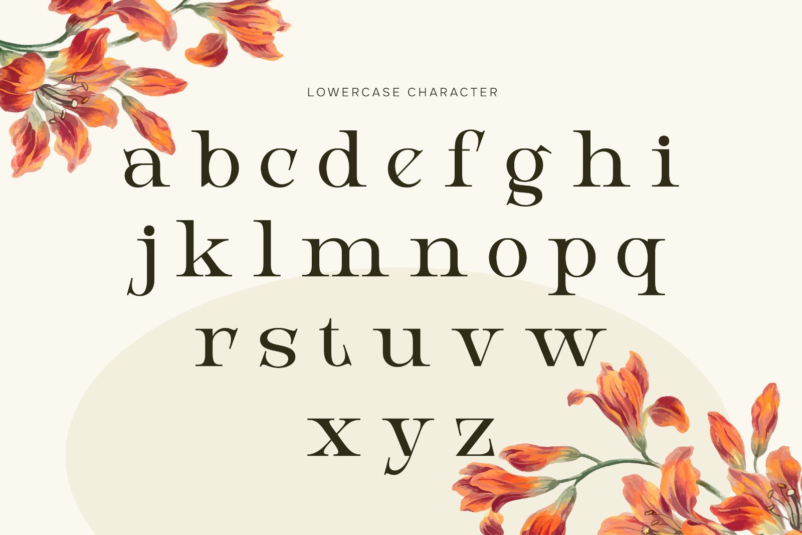 Birchmoren - Modern Serif Font — image 7