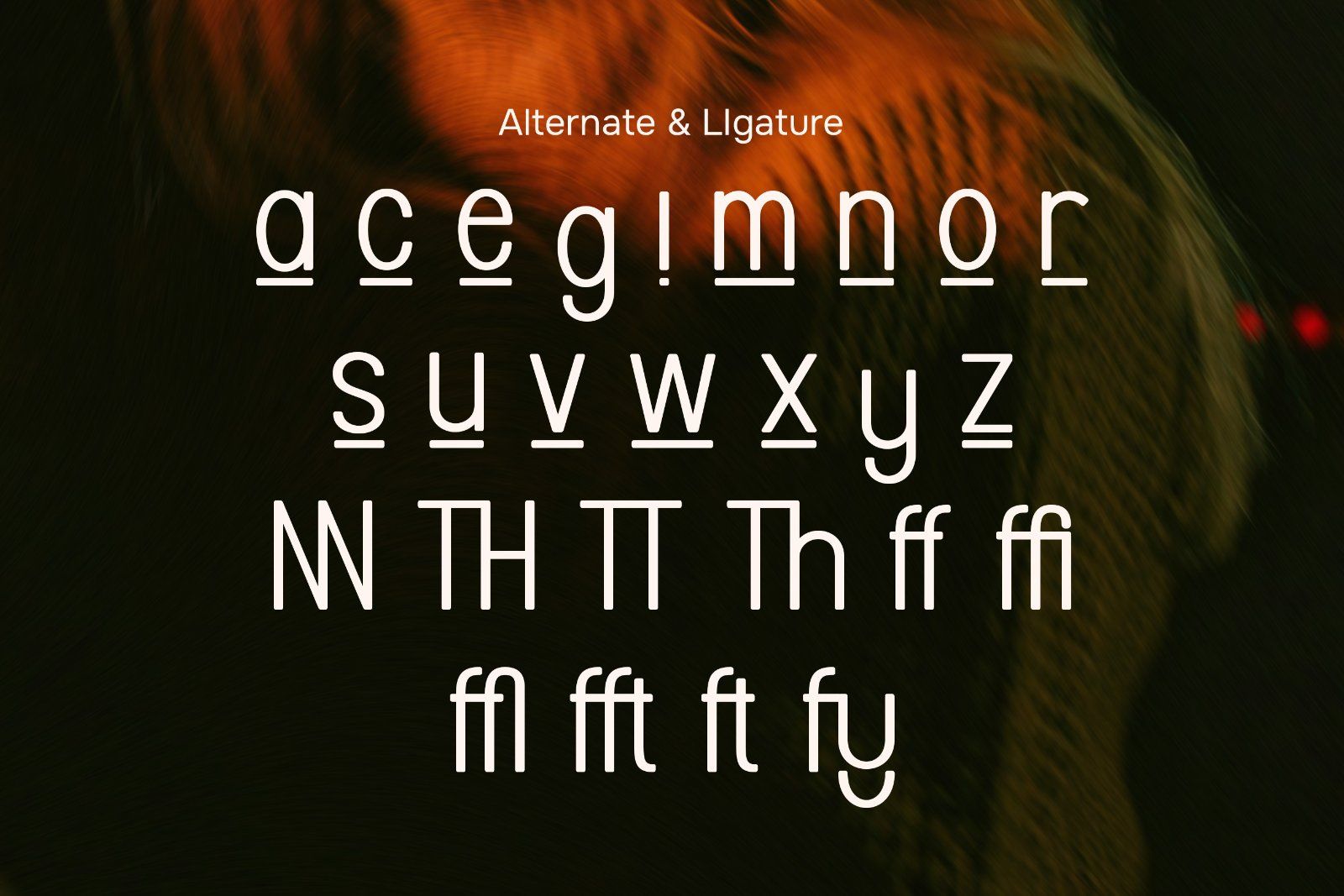 Linova - Modern Sans Serif Font — image 9