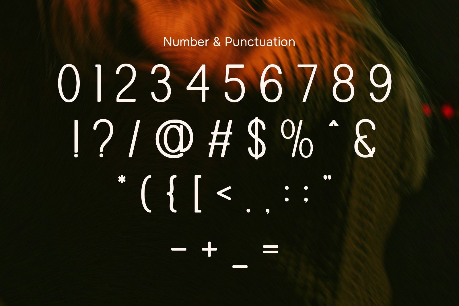 Linova - Modern Sans Serif Font — image 8