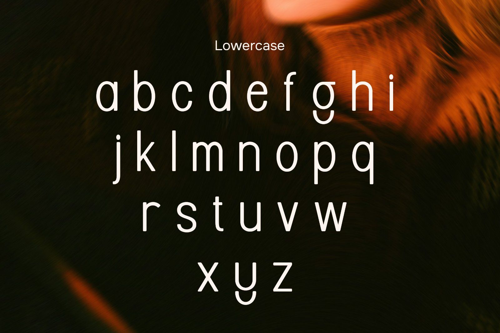 Linova - Modern Sans Serif Font — image 7