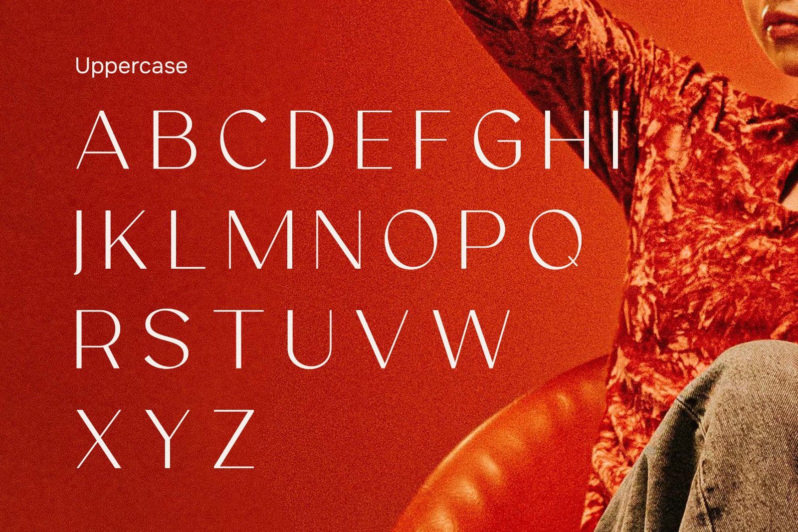 Sylvera - Elegans Sans Font — image 6