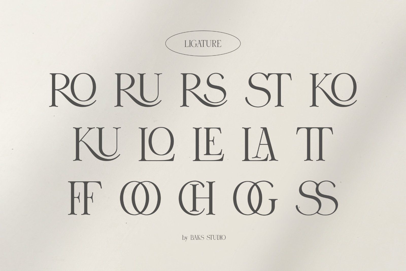 Rood Brown | Modern and Elegant Serif