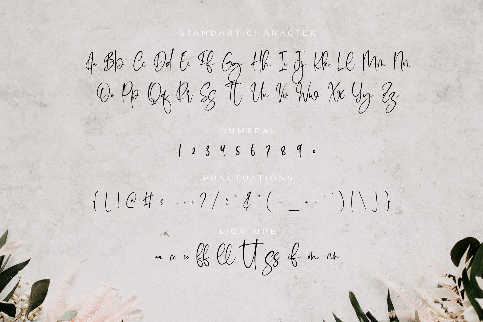 Moister - Stylish Script Font — image 7