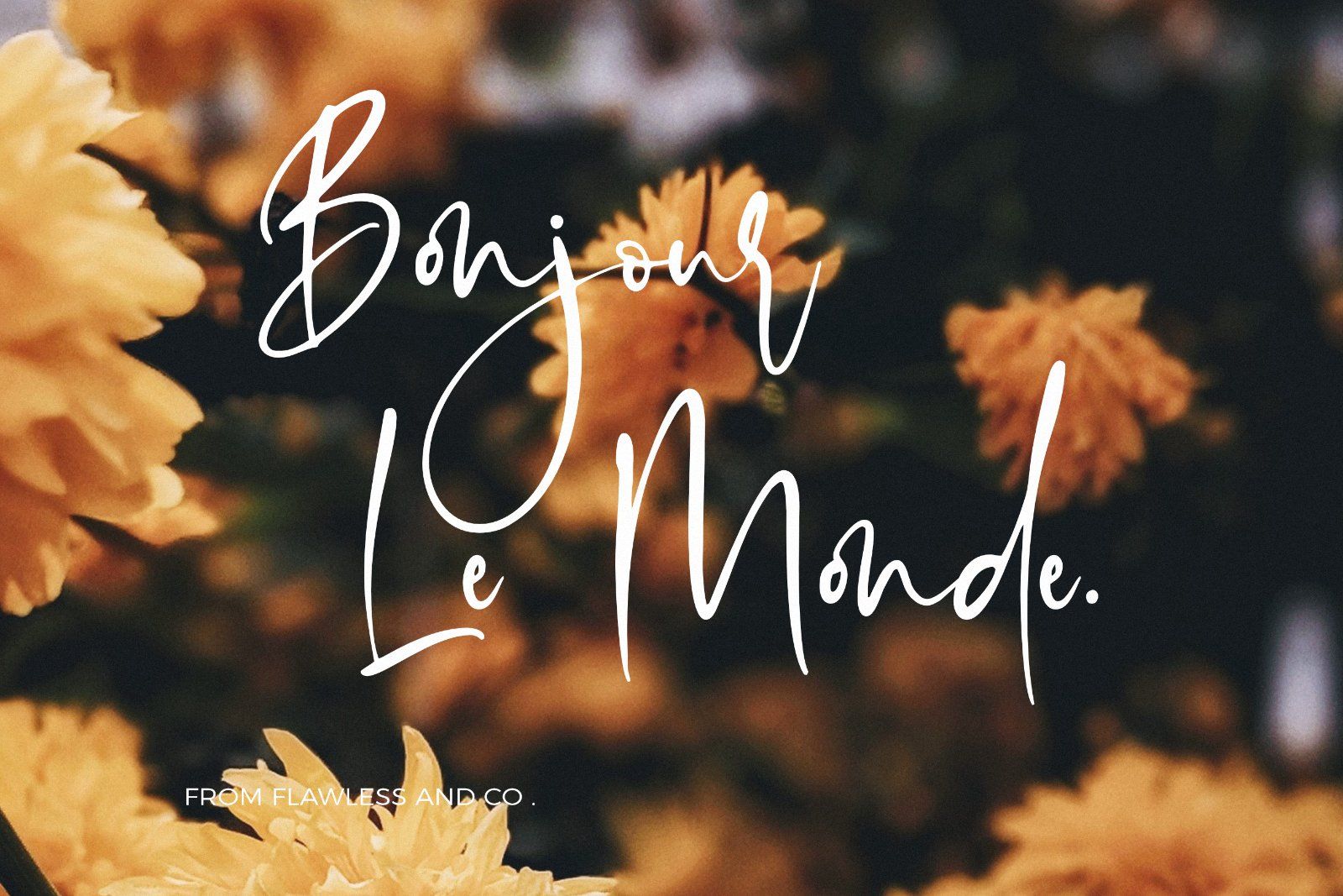 Moister - Stylish Script Font — image 2