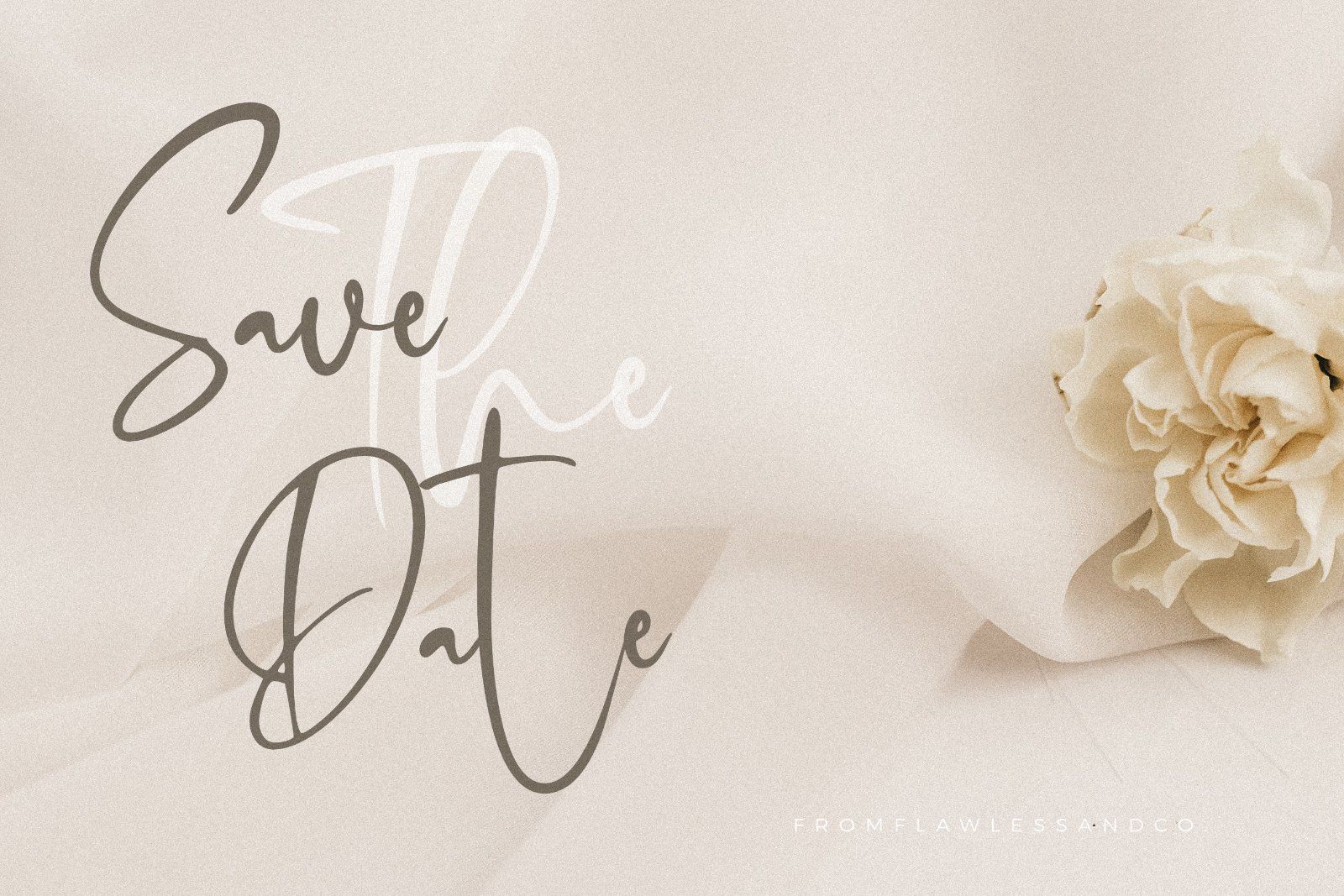 Moister - Stylish Script Font — image 3