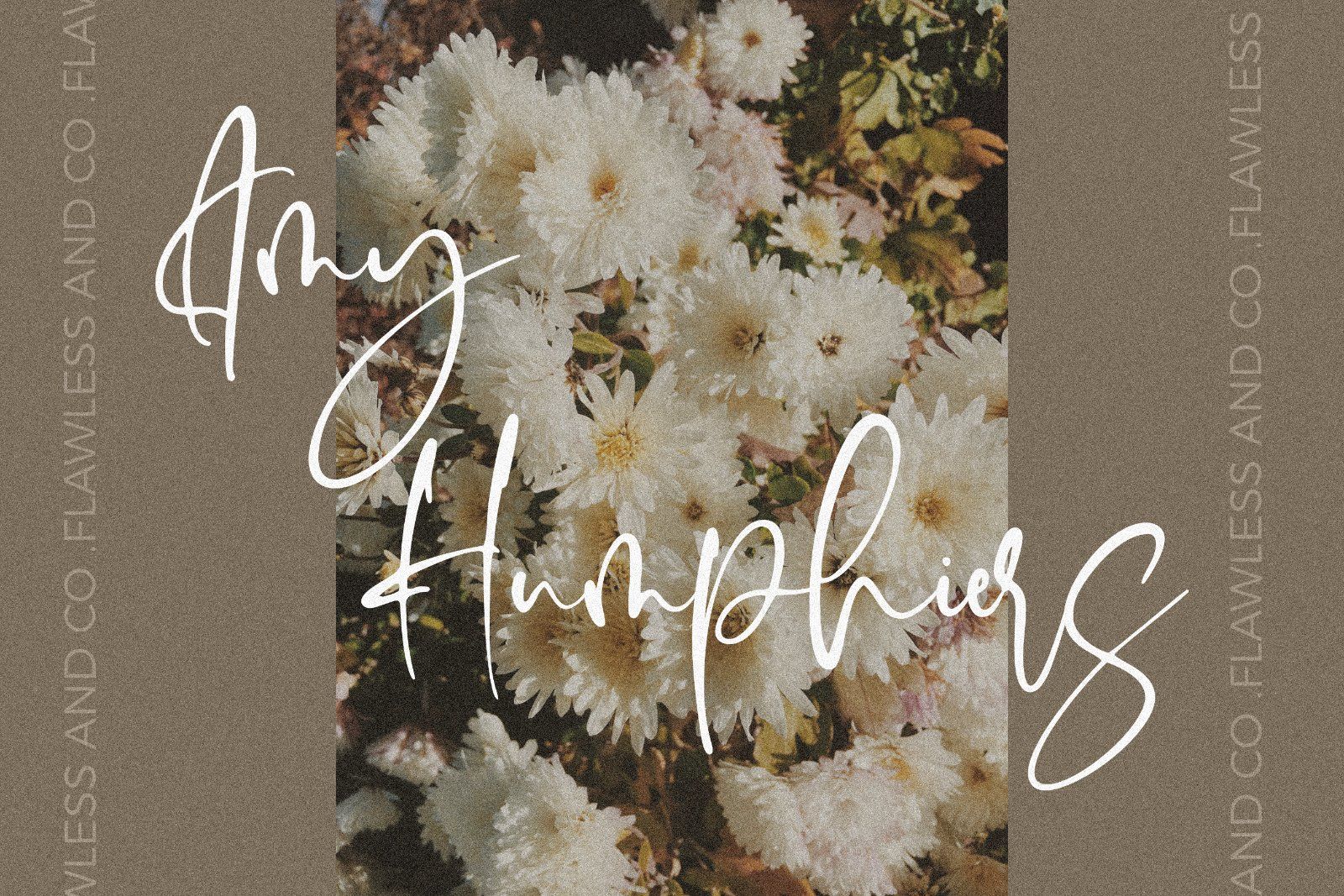 Moister - Stylish Script Font — image 5