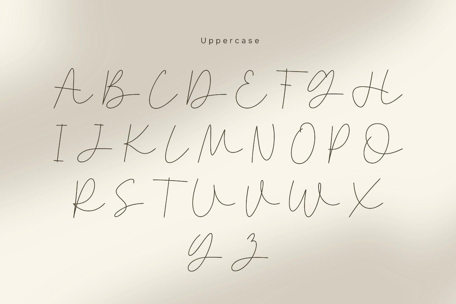 Naykilla - Monoline Script Font — image 7