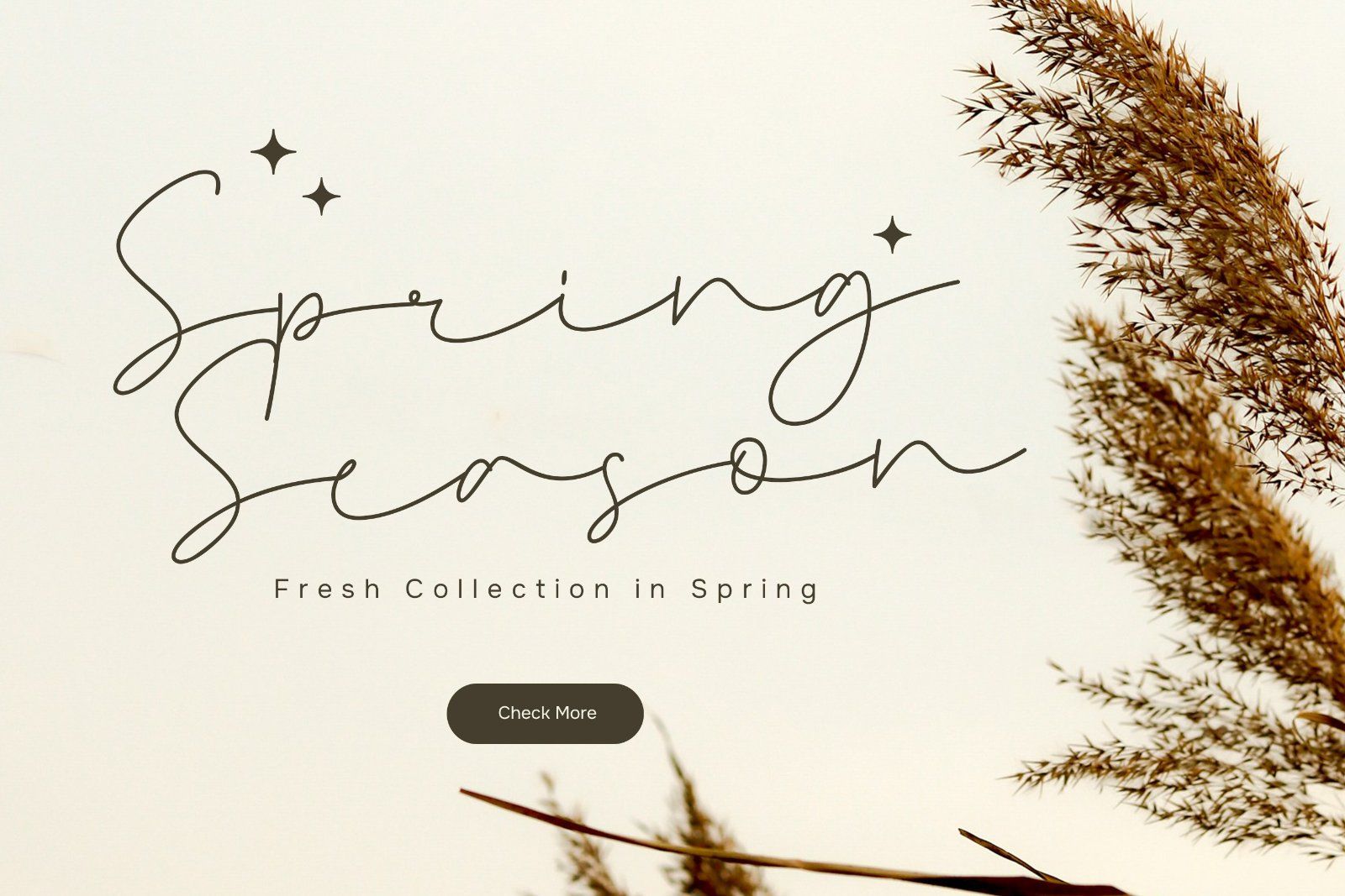 Naykilla - Monoline Script Font — image 2