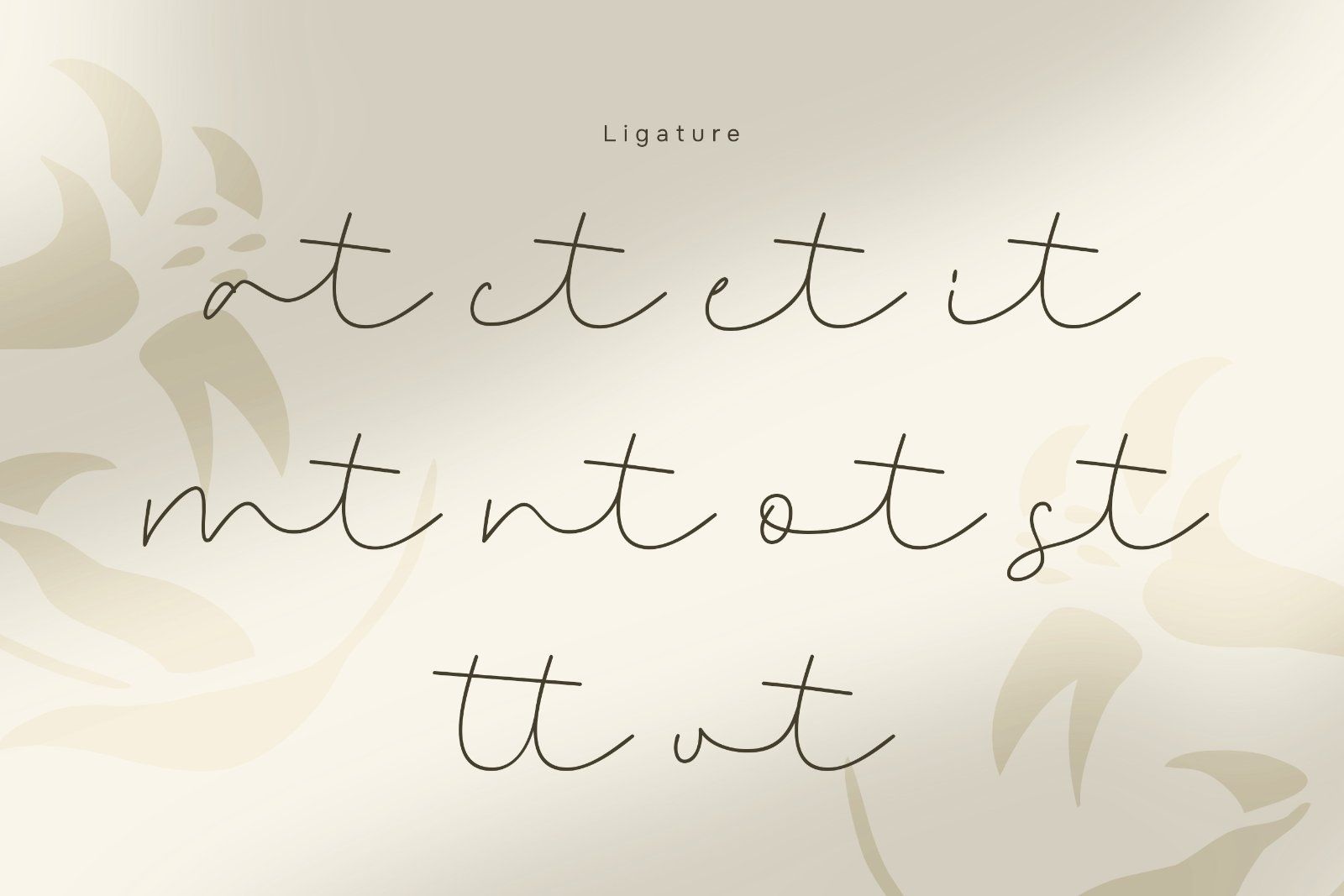 Naykilla - Monoline Script Font — image 9