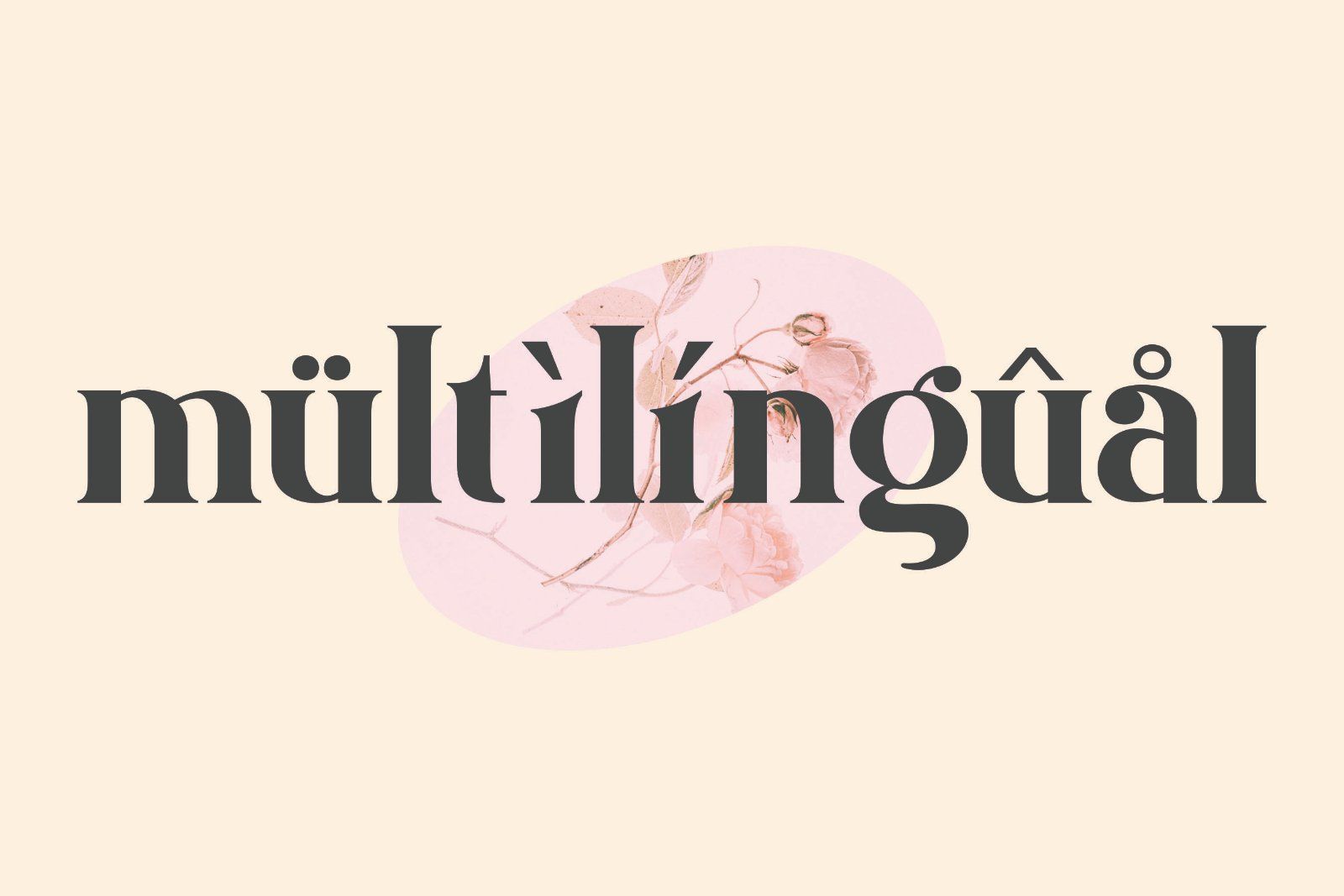Damona - Modern Serif Font — image 10