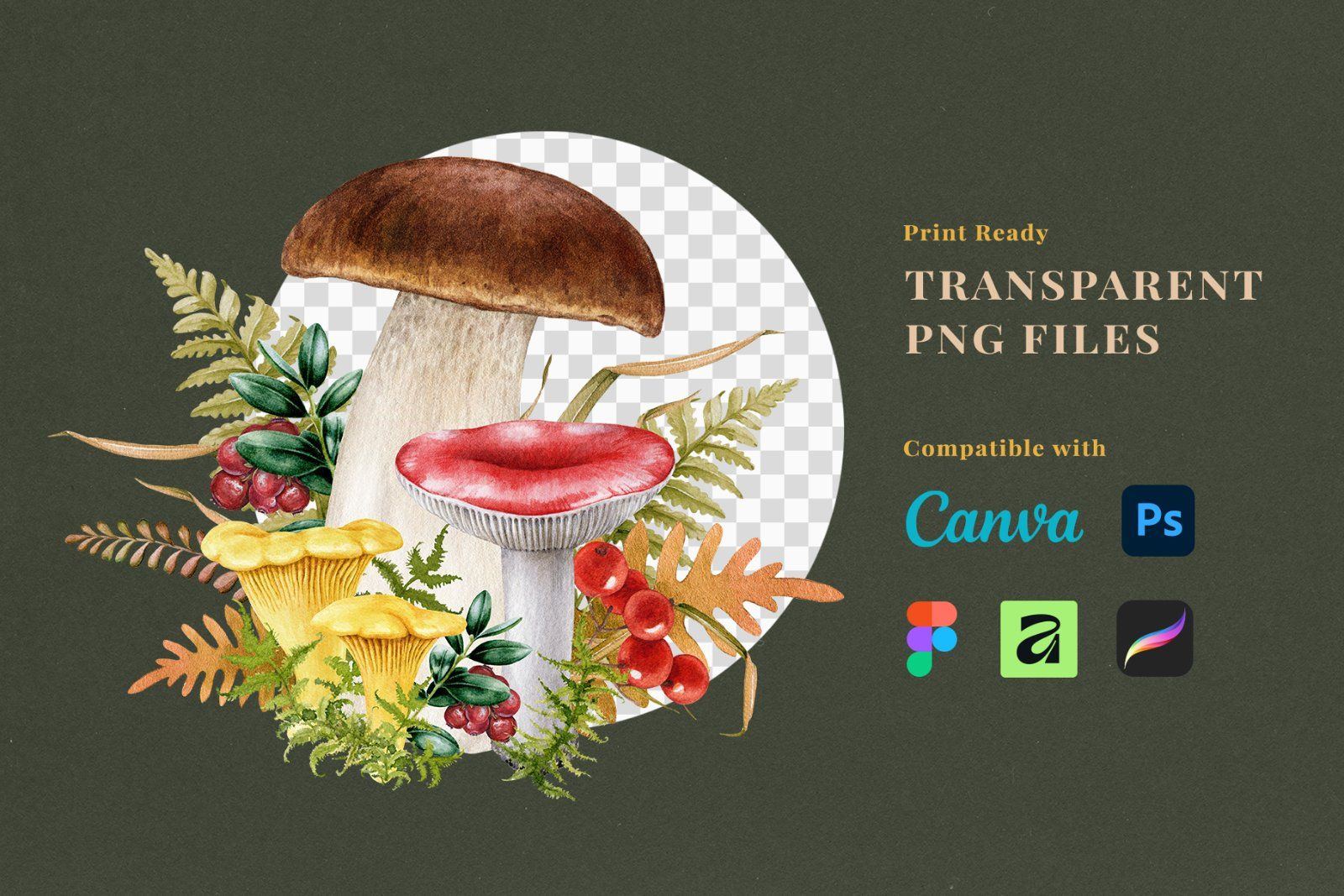 Fall Mushrooms Watercolor Clipart — image 10