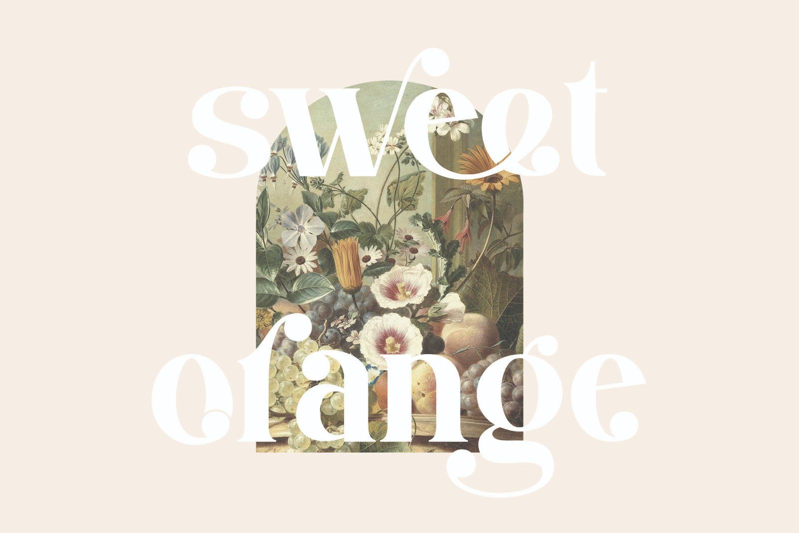 Damona - Modern Serif Font — image 4
