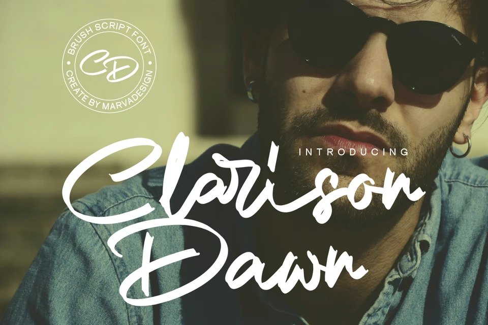 Clarison Dawn - Brush Script