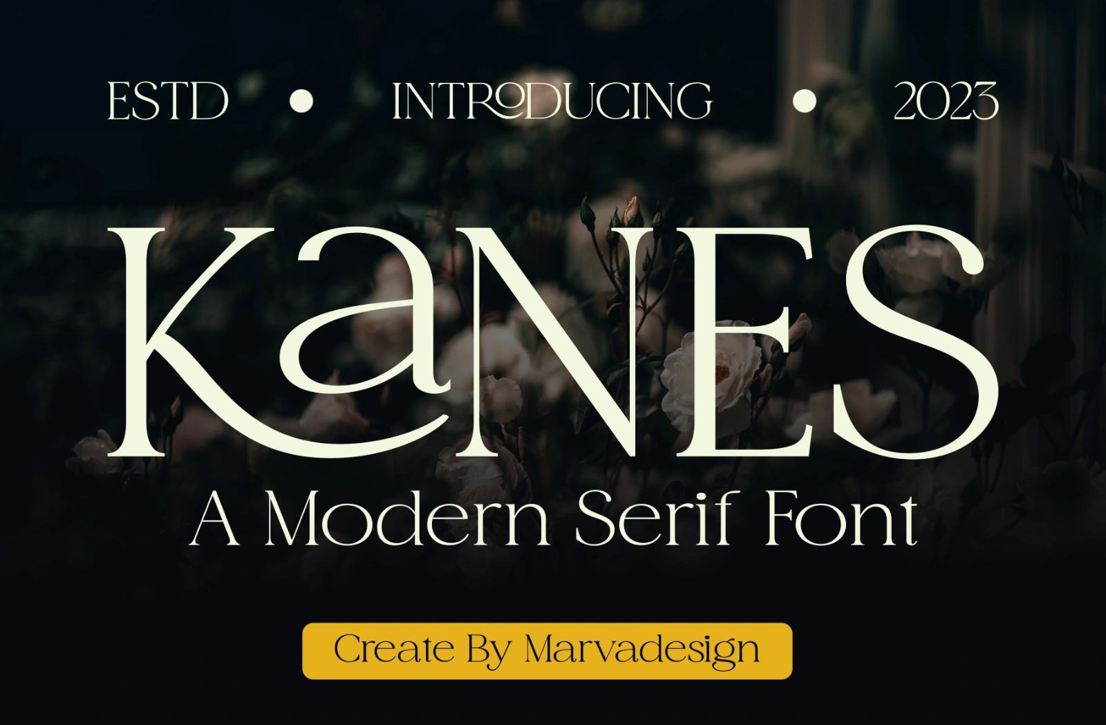 Kanes — image 1