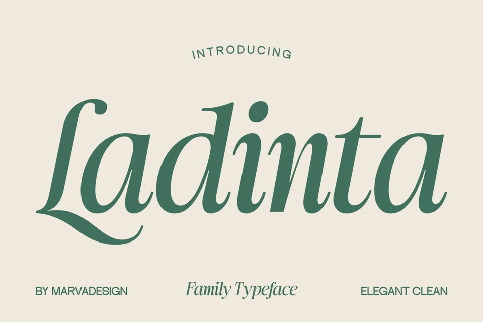 Ladinta - Family Serif Font