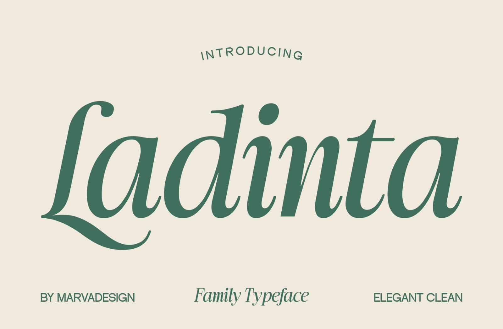 Ladinta - Family Serif Font — image 1