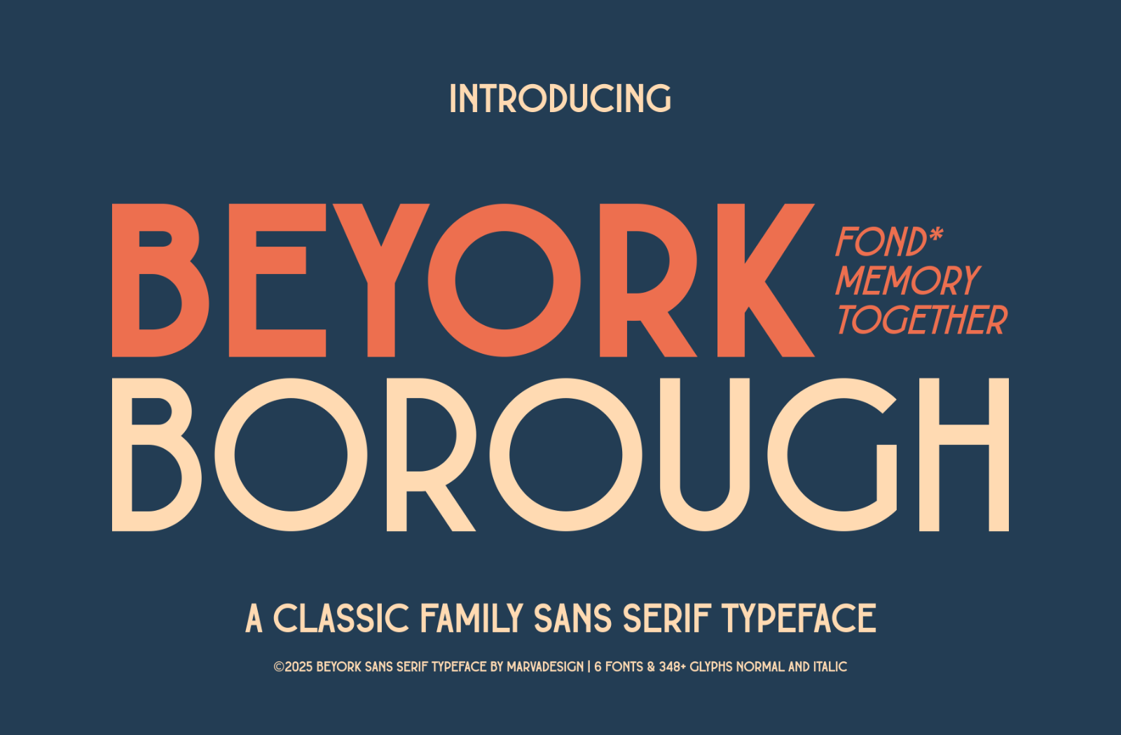 Beyork - A Classic Sans Serif Font — image 1