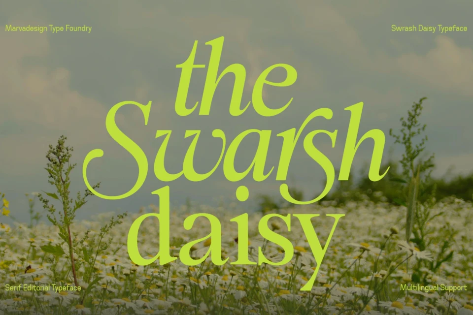 Swarsh Daisy - Elegant Serif Display