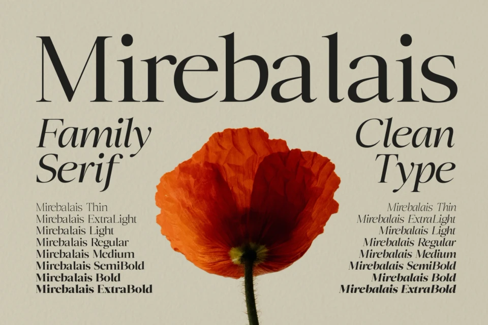 Mirebalais - Family Serif