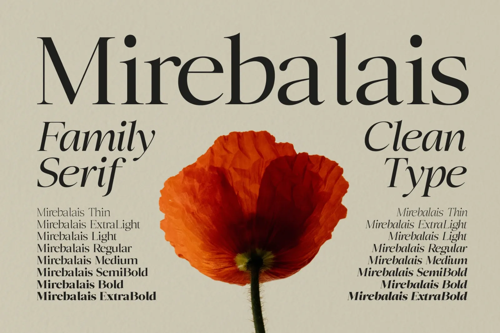 Mirebalais - Family Serif — image 1