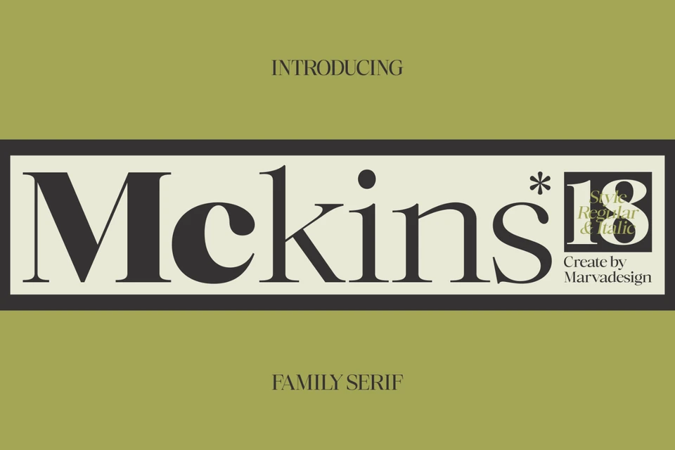 Mckins - Family Serif Font