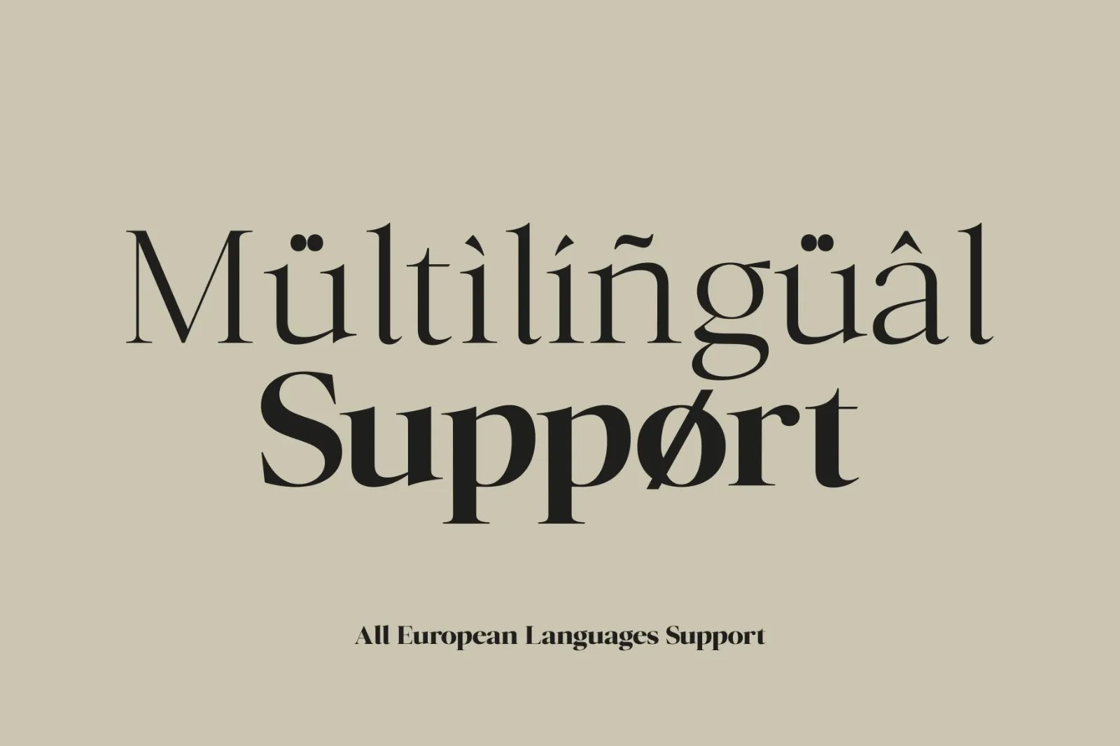 Mirebalais - Family Serif — image 11