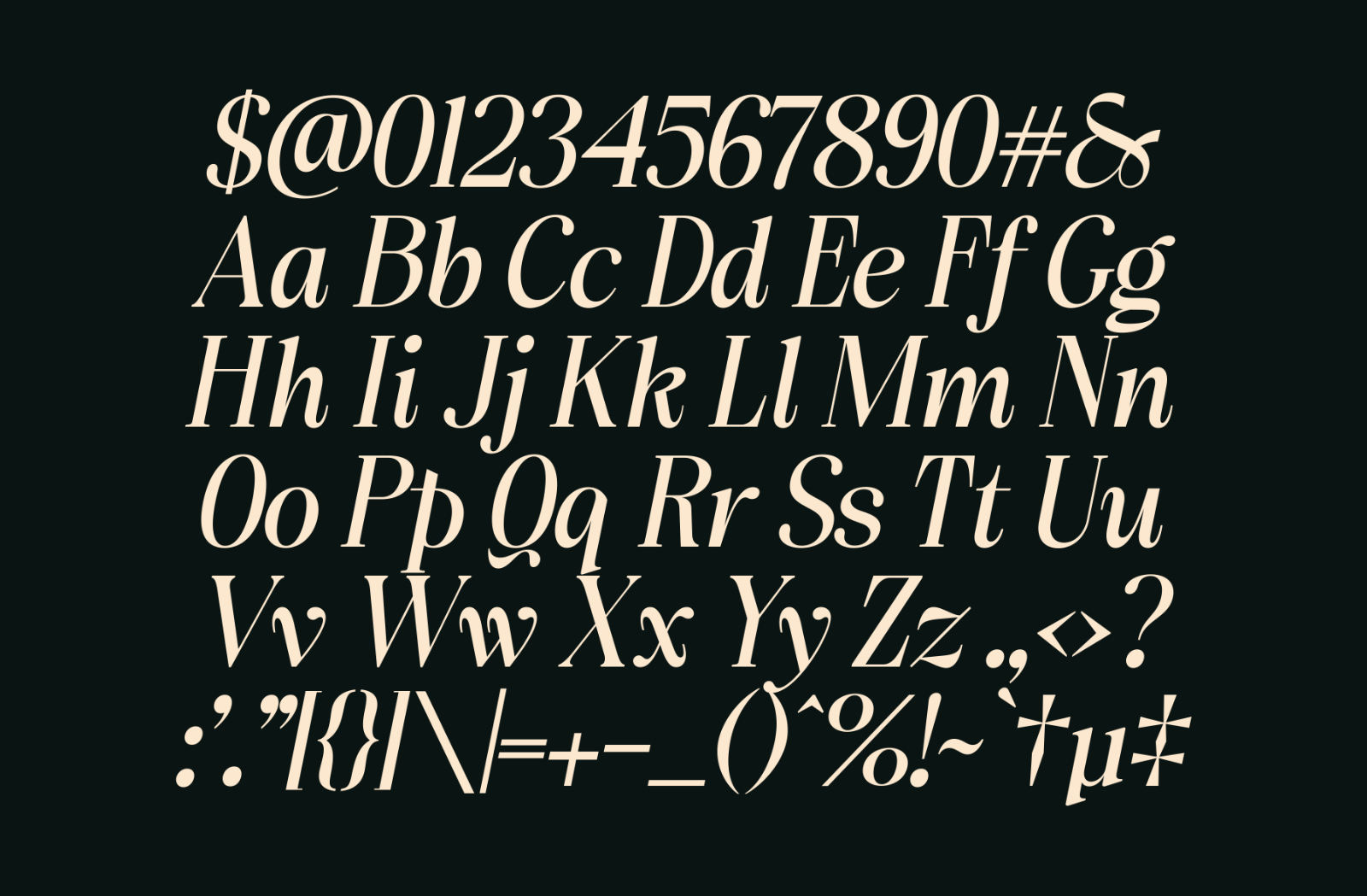 Ravelle - Family Serif Font — image 11