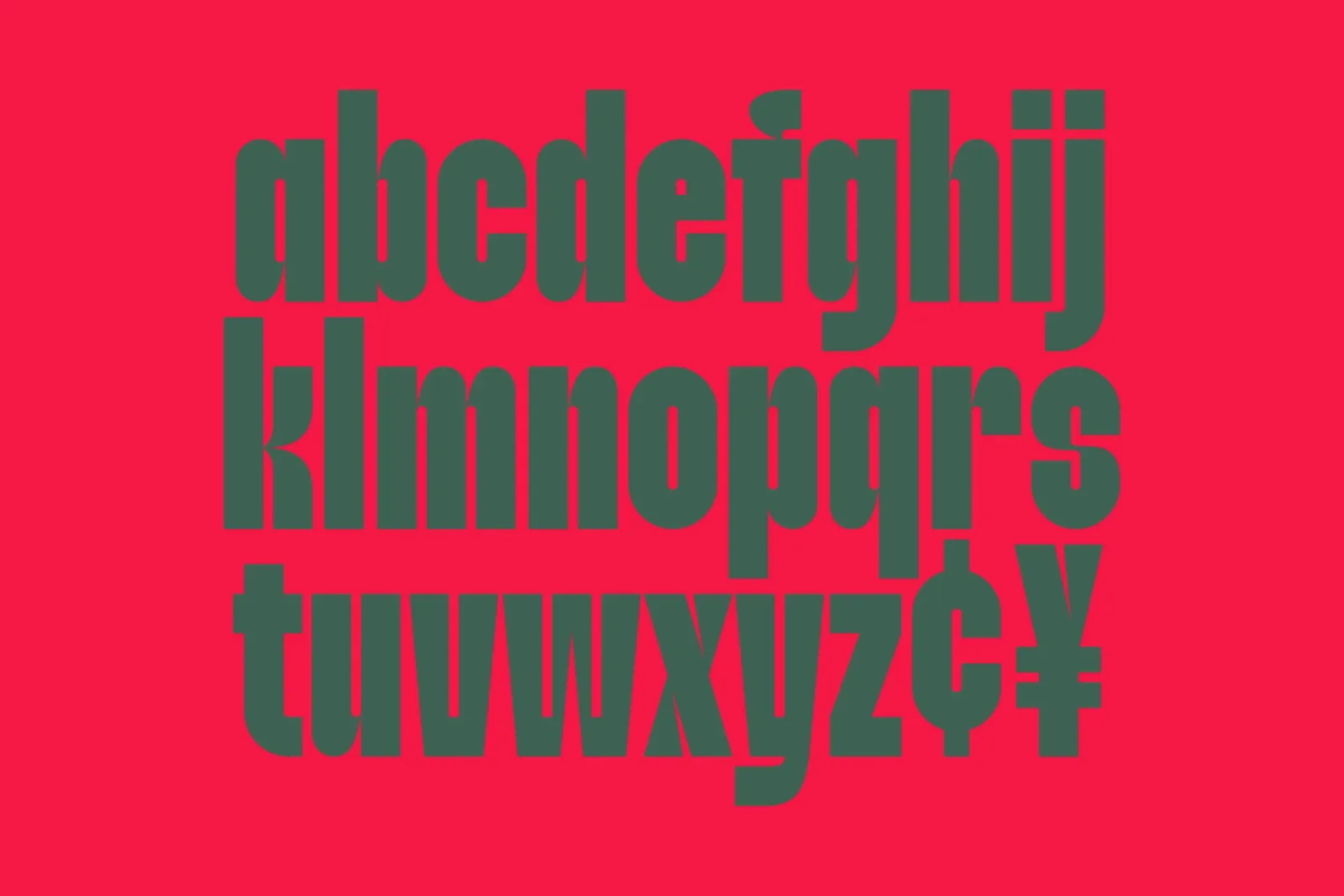 Wishnut - Duo Display Font — image 13
