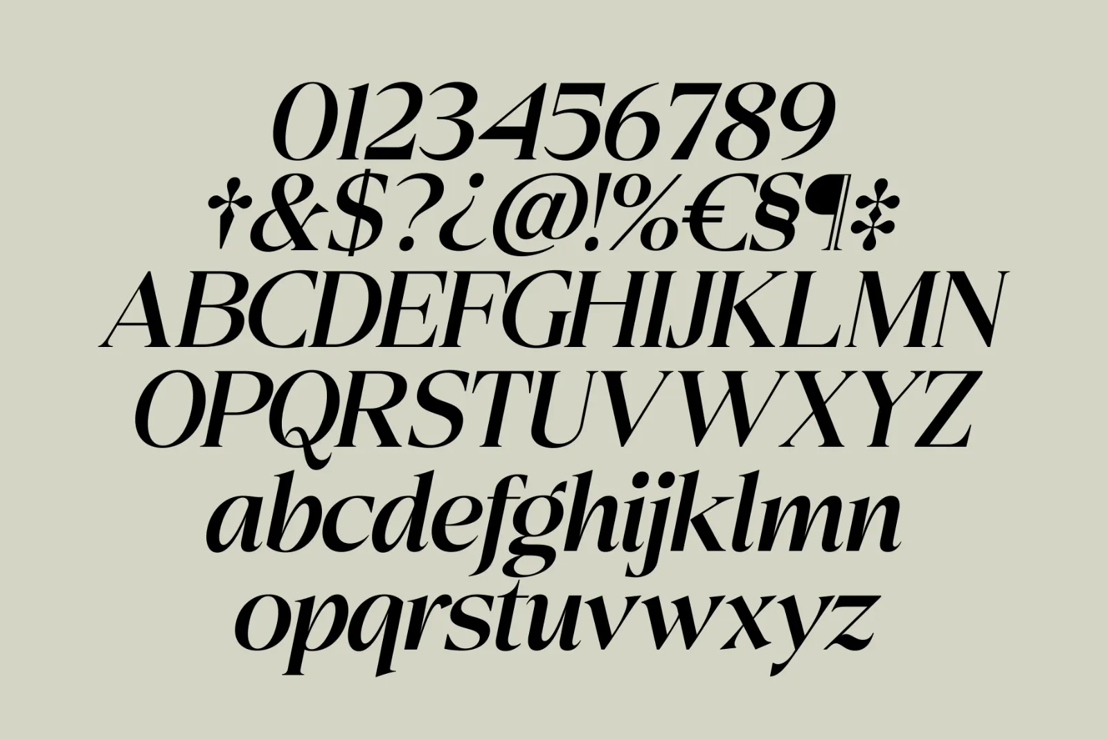 Eightly Teenage - Family Serif — image 14