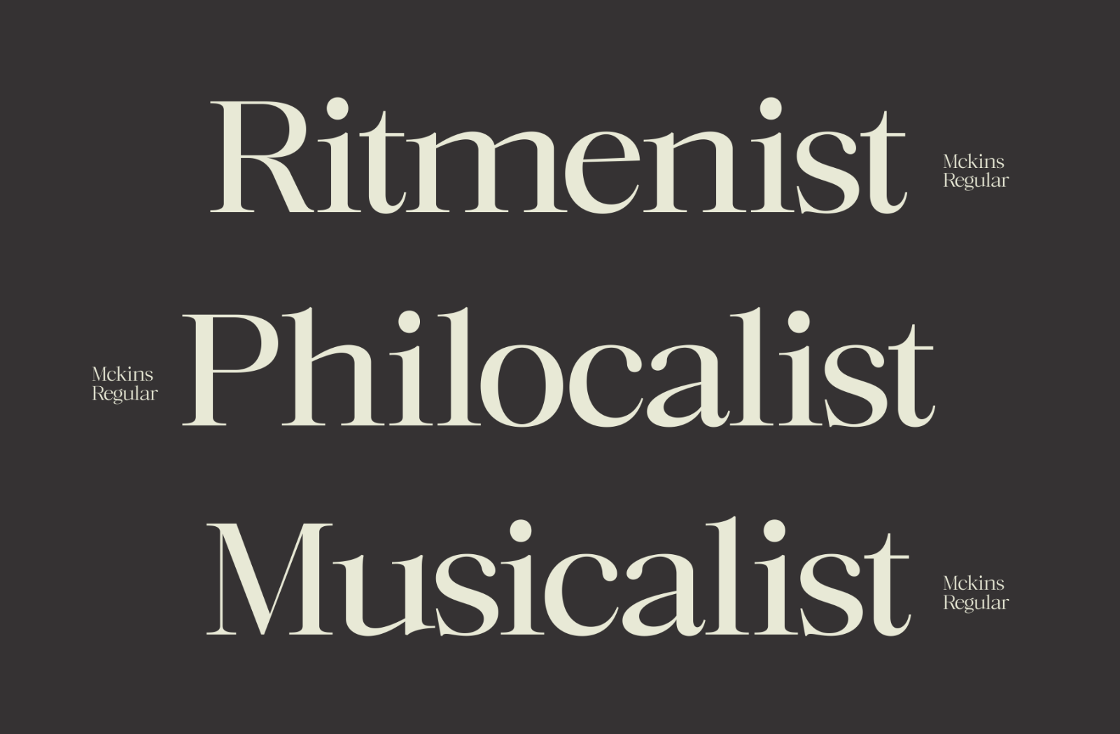 Mckins - Family Serif Font — image 2