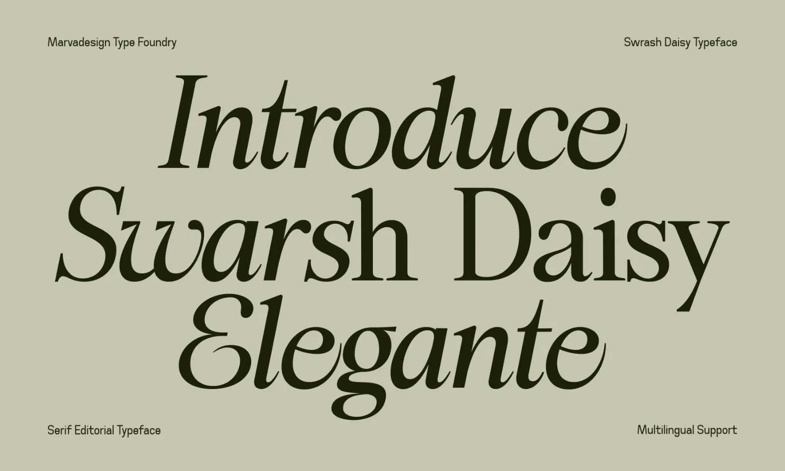 Swarsh Daisy - Elegant Serif Display — image 2