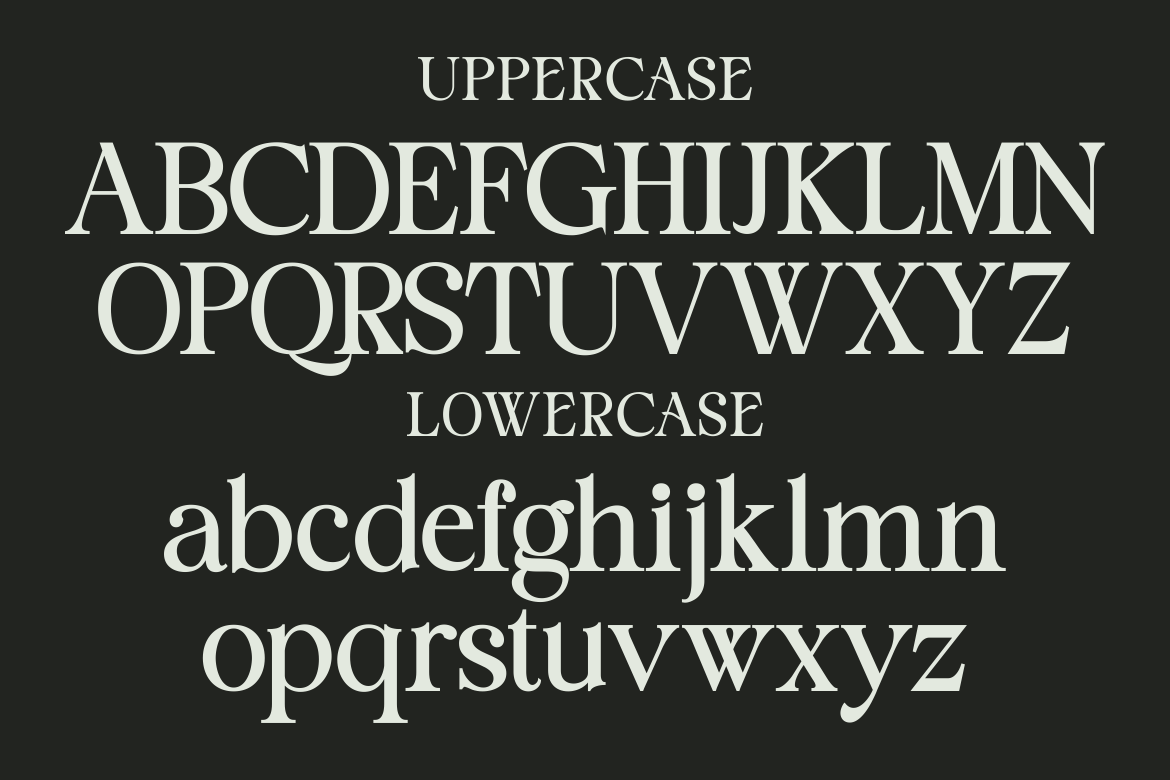 Staller - A Modern Beauty Font — image 2