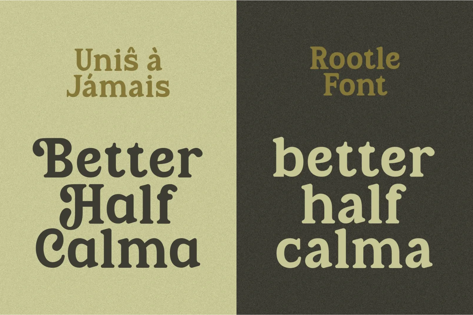 Rootle - Old Elegant Serif — image 3