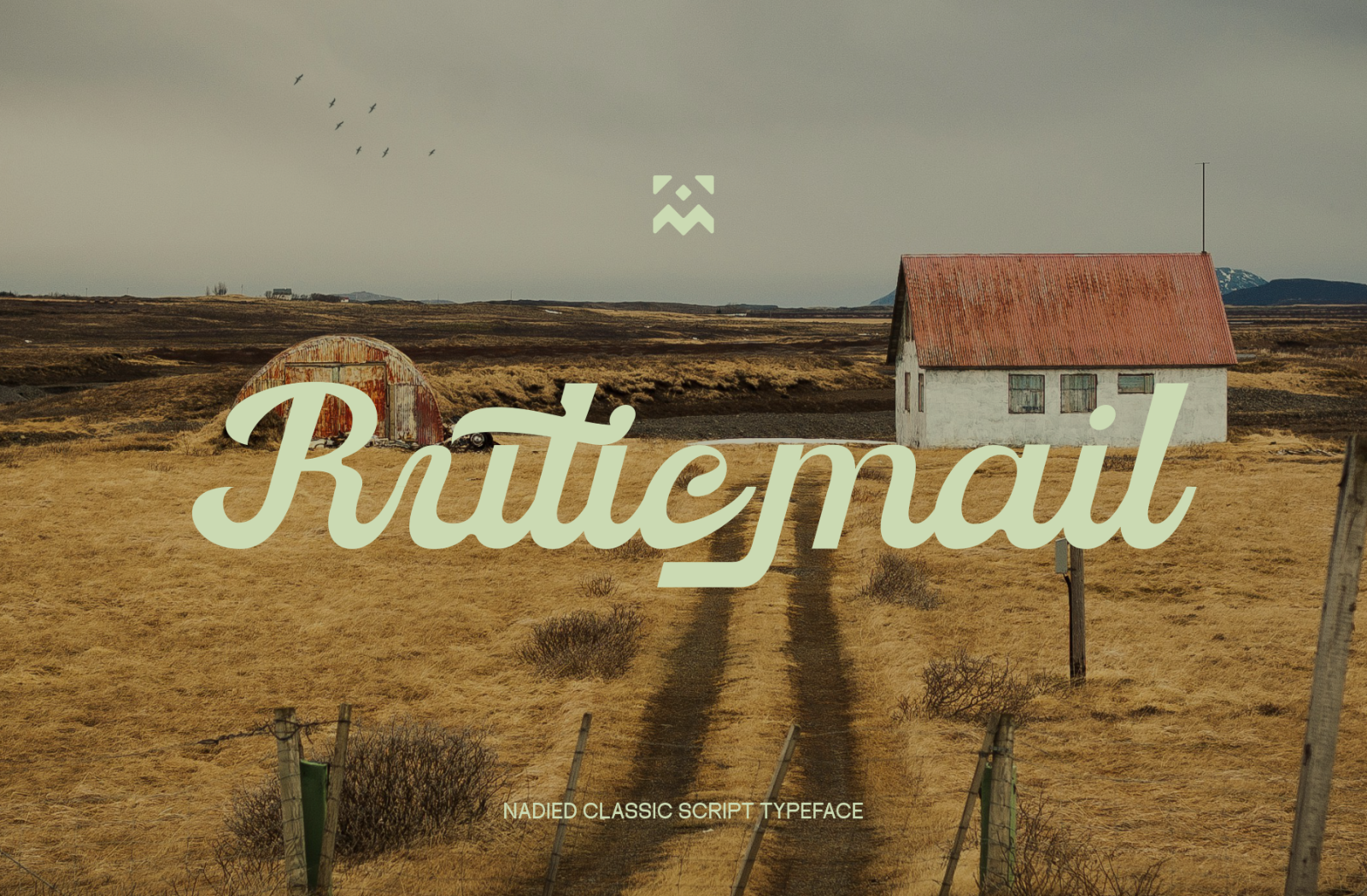Nadied Font — image 4