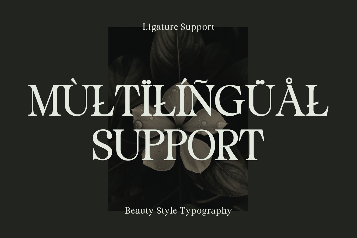 Staller - A Modern Beauty Font — image 4