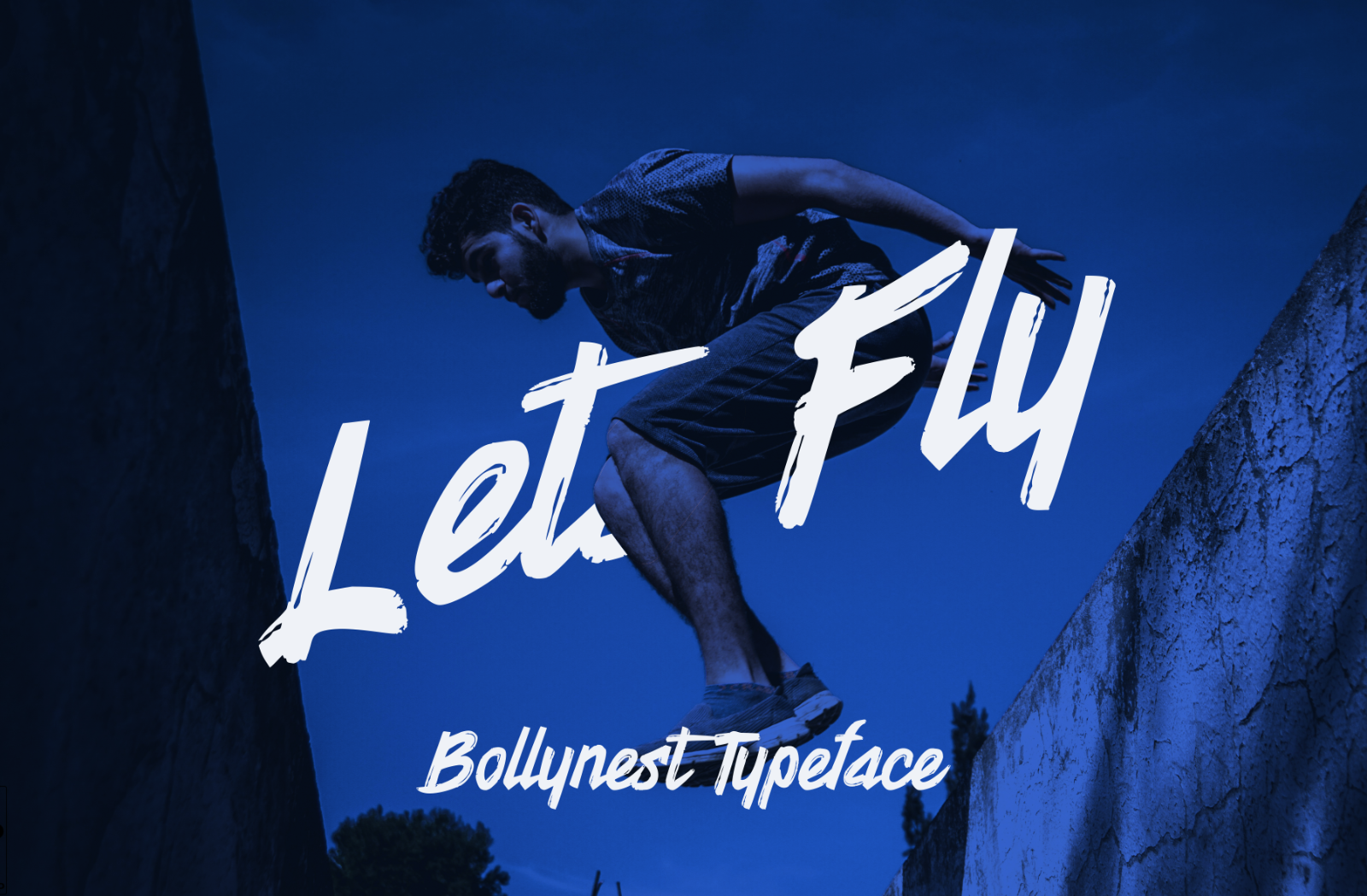 Bollynest — image 4