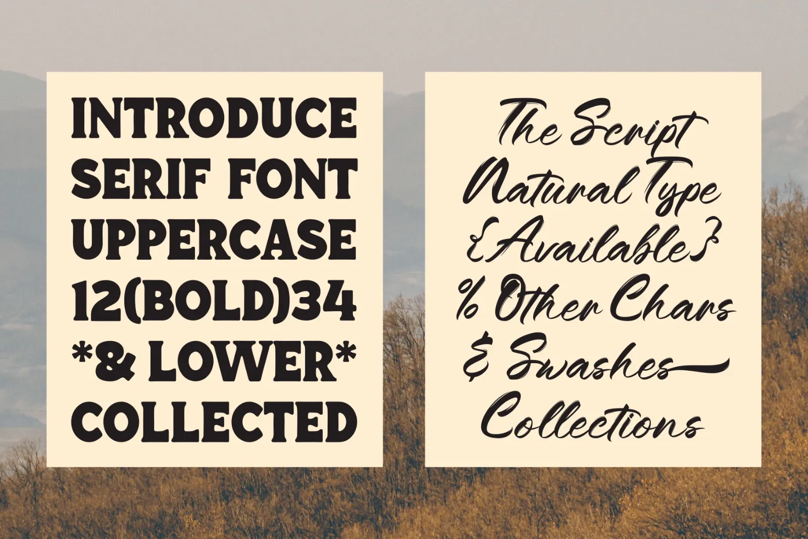 Regal Drownfall Font — image 4