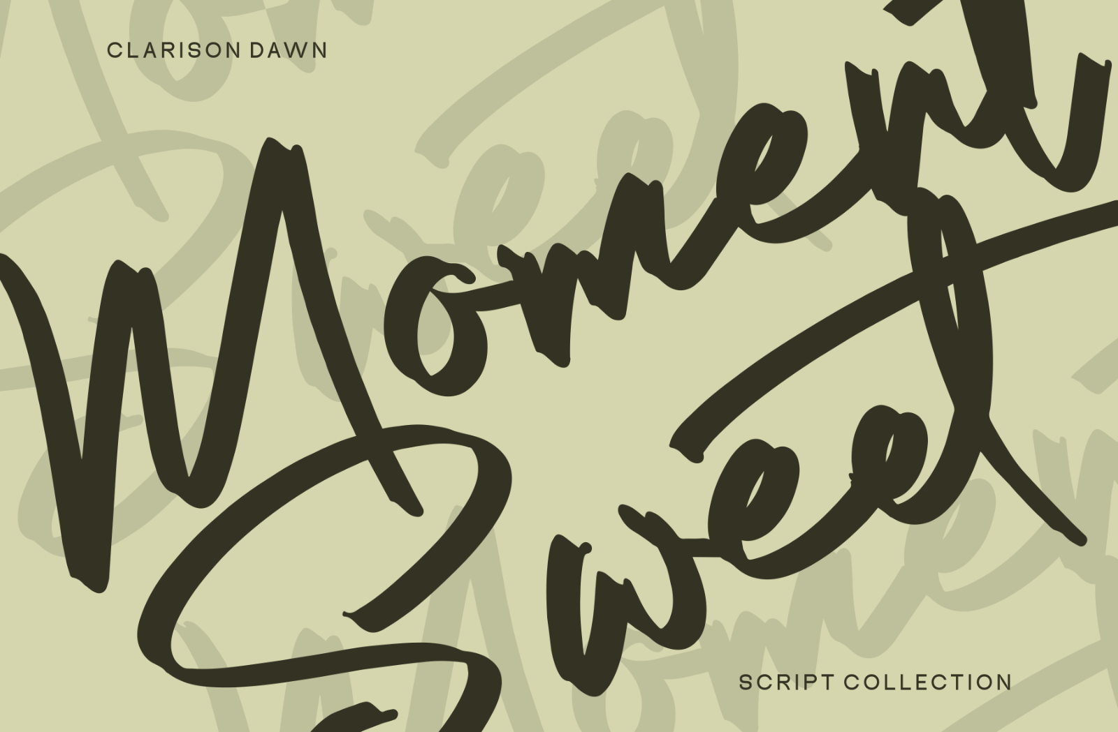 Clarison Dawn - Brush Script — image 4